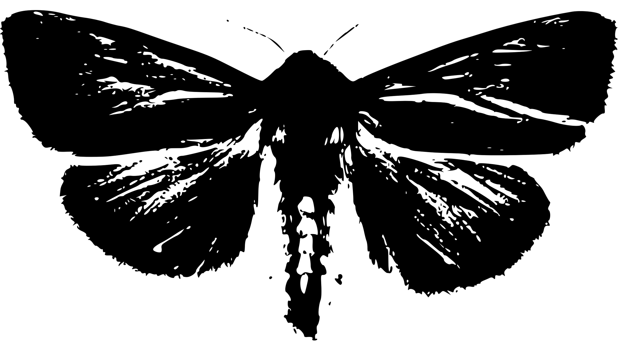 Baner główny